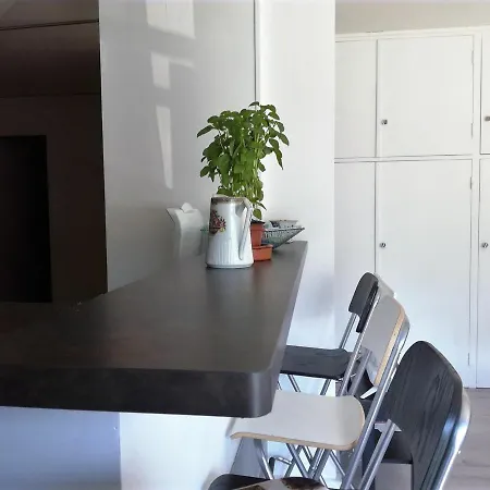 T3 Renove En Centre-ville Barcelonnette, Pour 6 Pers., Balcon - Fr-1-165a-21 Апартаменты